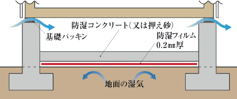 d932901e-9802-4960-c9a1-fa1f562354cd