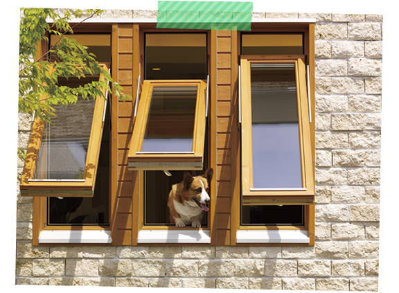 window1_photo1