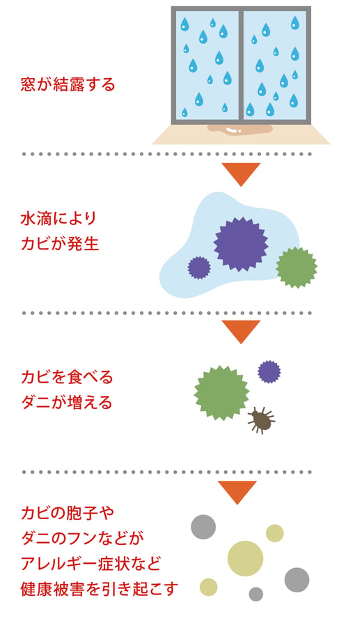 ketsuro_6