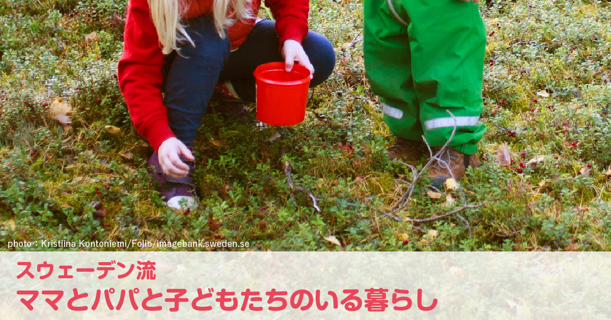 きのこを採りに森に出かけよう！