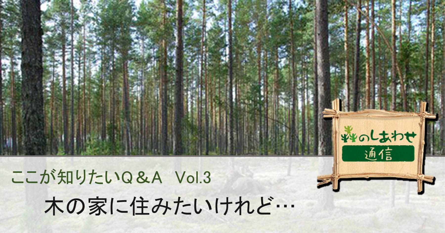 ここが知りたいQ&A Vol.3：木の家に住みたいけれど...