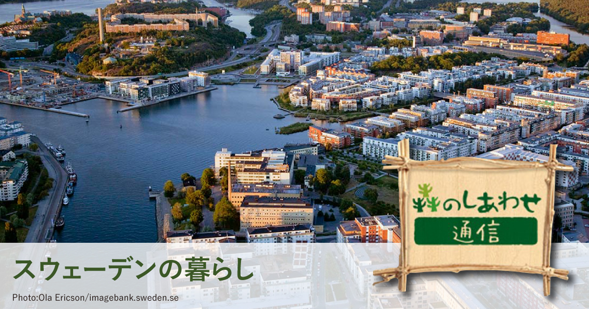 「森のしあわせ通信」生活水準向上の施策 100万戸プログラム
