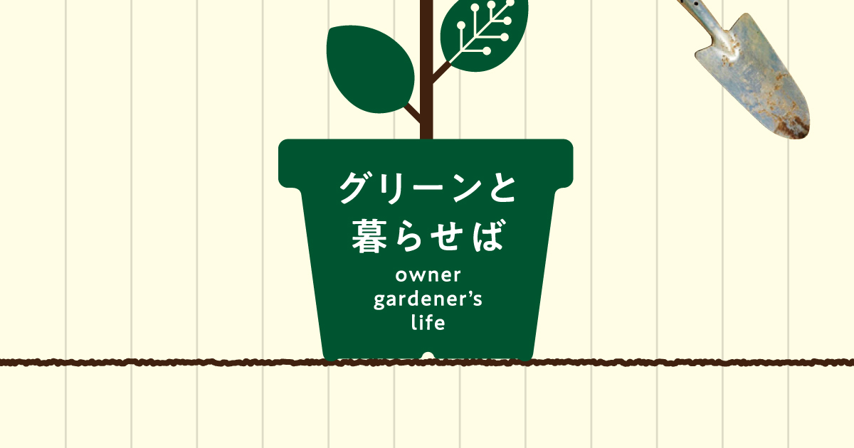 「グリーンと暮らせば ❿」グリーンカーテン